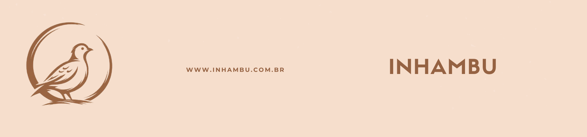 Banner topo 1